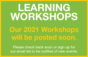Learning workshops 2021